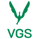 Vgs Logo Stacked